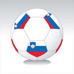 Obraz premium soccer ball vector #12