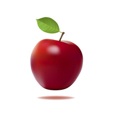 red apple vector illustration