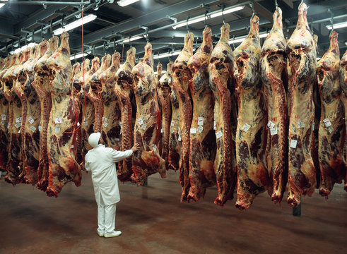 Abattoir Images – Browse 127,751 Stock Photos, Vectors, and Video | Adobe  Stock