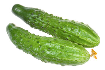 Green cucumbers
