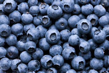 Blueberry background