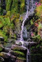 Wildwasser