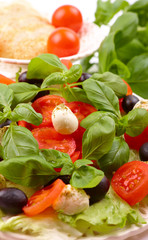 Obraz na płótnie Canvas Fresh salad with basil, mozzarella, olives and tomato