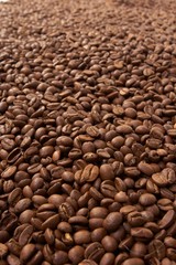 coffee grain
