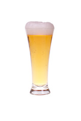 Beer in glass on white background