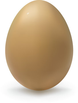 Vector egg
