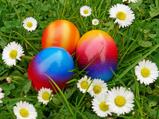 bunte ostereier auf  einer grünen  wiese