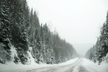 Obraz premium Winter
