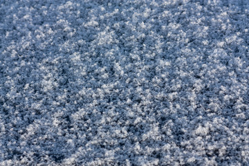 Snow texture