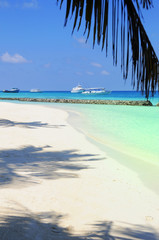 Fototapeta na wymiar scena plaży na Malediwach