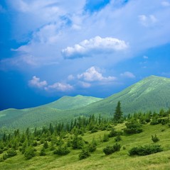 Obraz premium green mountains