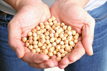 Les pois chiches
