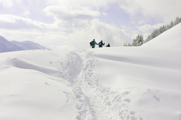 pfad im schnee
