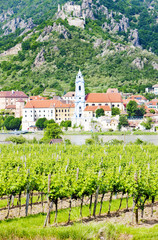 Fototapeta na wymiar Dürnstein, winnic w regionie Wachau, Dolna Austria, Austria