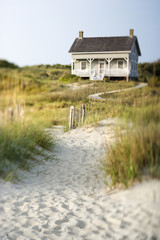 Cottage on Beach - 20447687