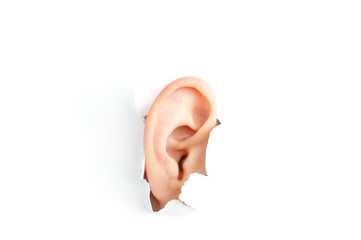 woman ear