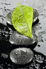 spa stones with water drops