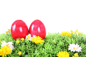 Ostereier auf der Wiese