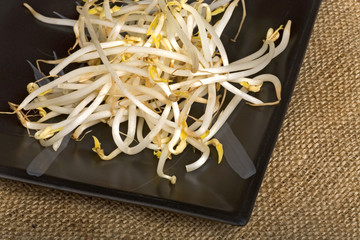 soybean sprouts