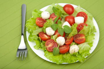 salad with tomatoes and mozzarella