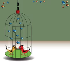 Photo sur Plexiglas Oiseaux en cages Inséparables en cage