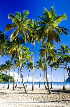 Maracas Bay, Trinidad