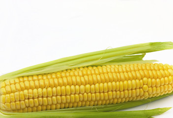 Corn