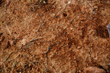 Ground texture detail
