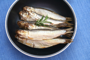 sprotten