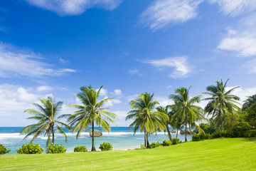 Fototapeta na wymiar Batszeba, wschodnim wybrzeżu Barbados, Karaiby