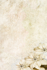 Fototapeta na wymiar Zdjęcie na tle zilustrowane z Clematis kwiaty