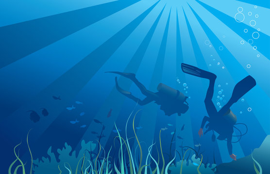 Scuba divers, sea  life. Vector illustration
