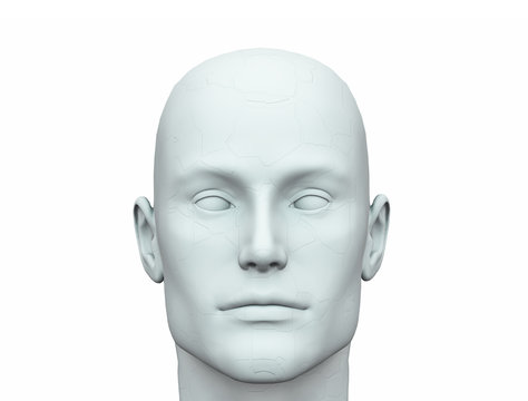 White Male Head - 1