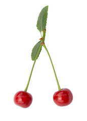 close-up two ripe cherries with leaves