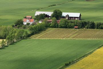 Swedish countryside