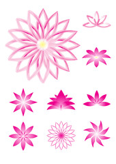 Set of 9 lotus flower vector illustration