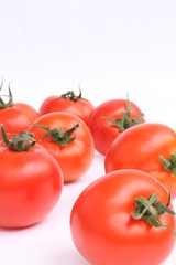 Tomatoes / 番茄