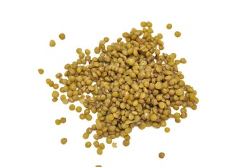 Lenticchie
