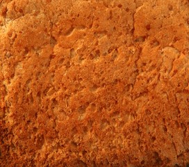 Bread golden warm crust bakery texture