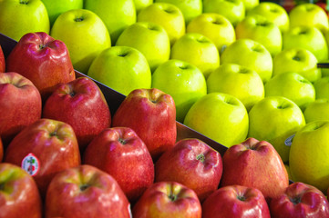 green and red apple assorted on a stall