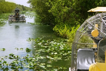Airboat in Everglades Florida Big Cypress