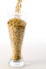 Filing a glass with barley