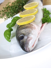 Raw sea bass fish with parsley and thyme.