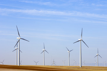 Fototapeta premium Windmills