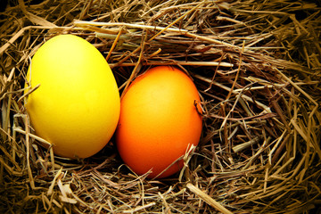 Nest with easter eggs