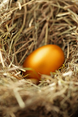 Golden egg