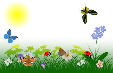 flowers, butterflies and ladybugs