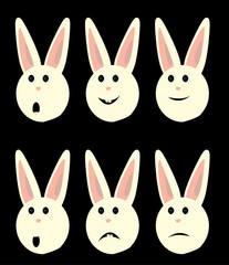 Bunny faces isolated