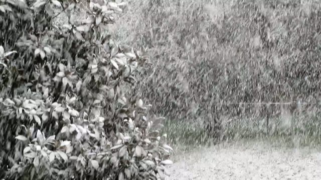 nevicata 2