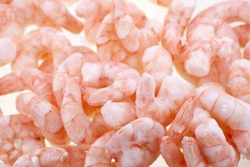Hintergrund Garnelen